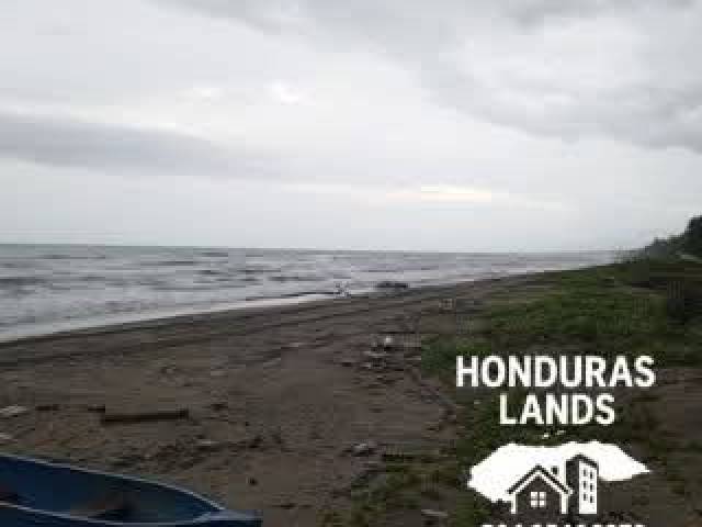 #61 - Área para Venta en San Pedro Sula - Cortés
