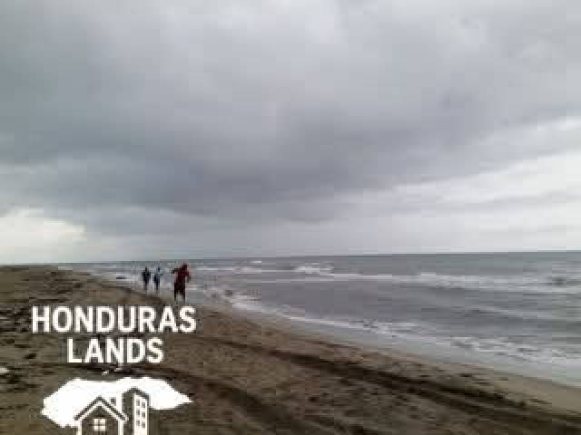 #61 - Área para Venta en San Pedro Sula - Cortés