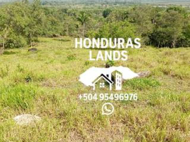 #63 - Área para Venta en San Pedro Sula - Cortés