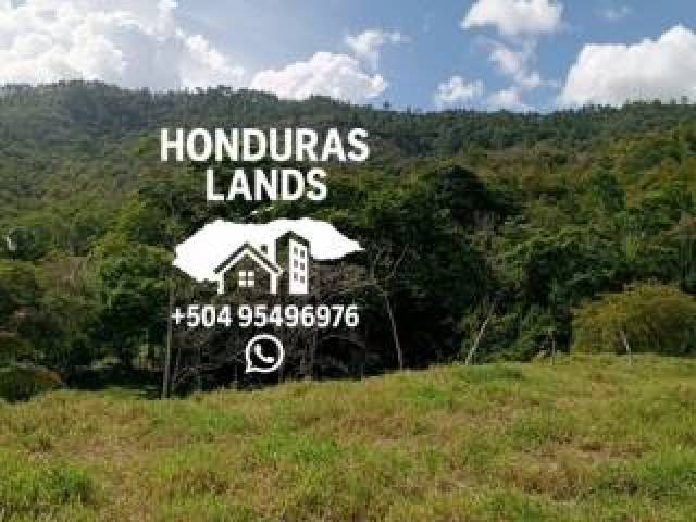 #63 - Área para Venta en San Pedro Sula - Cortés