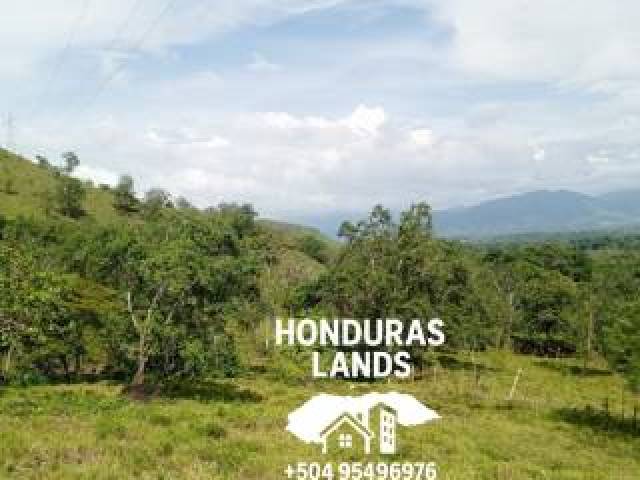 #63 - Área para Venta en San Pedro Sula - Cortés
