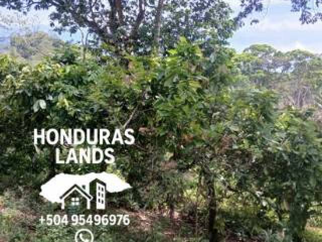 #65 - Área para Venta en San Pedro Sula - Cortés