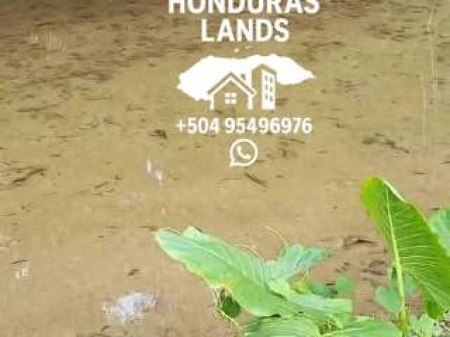 #66 - Área para Venta en San Pedro Sula - Cortés