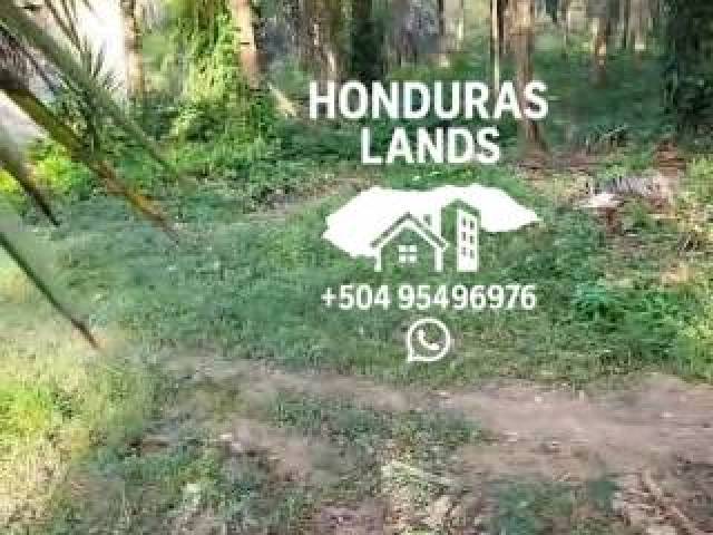 #66 - Área para Venta en San Pedro Sula - Cortés