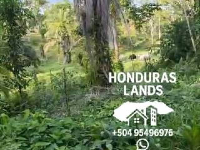 #66 - Área para Venta en San Pedro Sula - Cortés