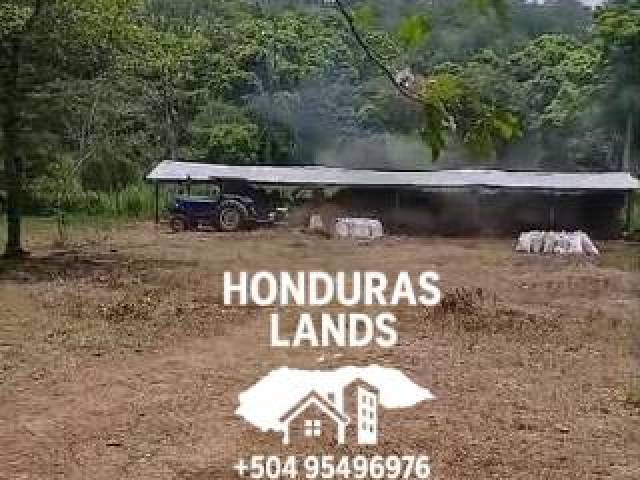 #64 - Área para Venta en San Pedro Sula - Cortés
