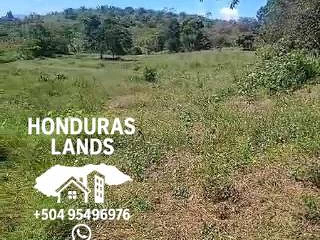 #64 - Área para Venta en San Pedro Sula - Cortés