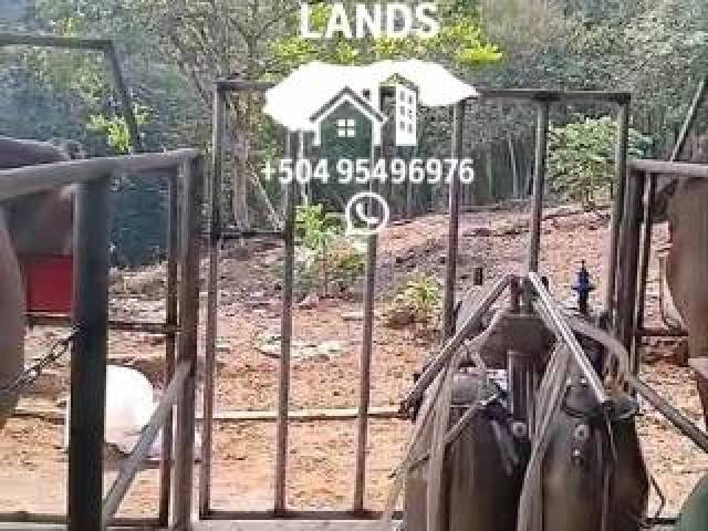 #64 - Área para Venta en San Pedro Sula - Cortés