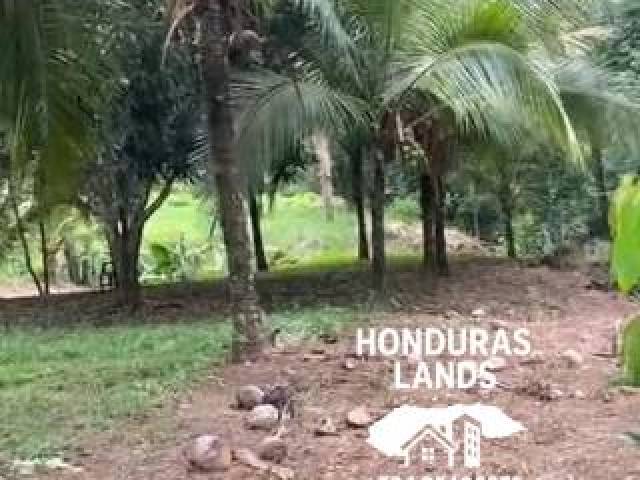 #67 - Área para Venta en San Pedro Sula - Cortés