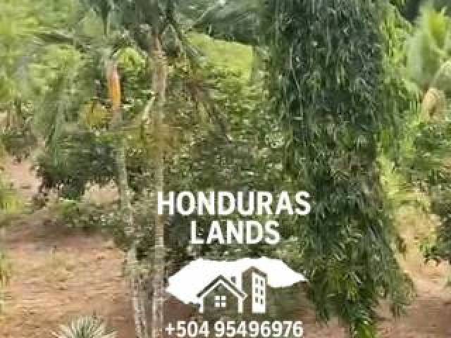 #67 - Área para Venta en San Pedro Sula - Cortés