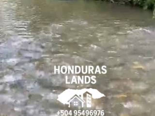 #67 - Área para Venta en San Pedro Sula - Cortés