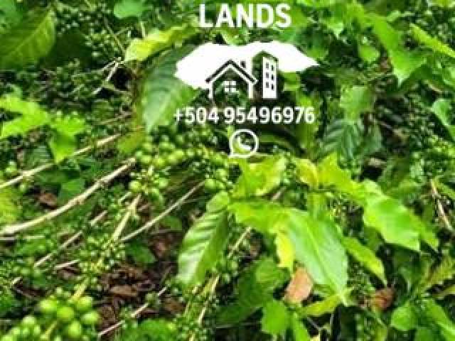 #69 - Área para Venta en San Pedro Sula - Cortés