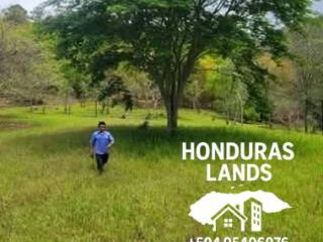 #69 - Área para Venta en San Pedro Sula - Cortés