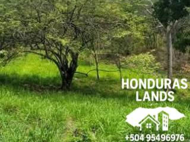 #69 - Área para Venta en San Pedro Sula - Cortés