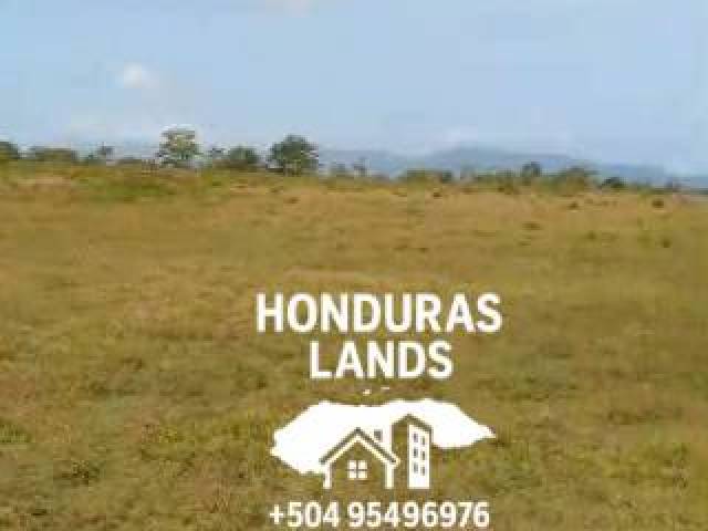 #70 - Área para Venta en San Pedro Sula - Cortés