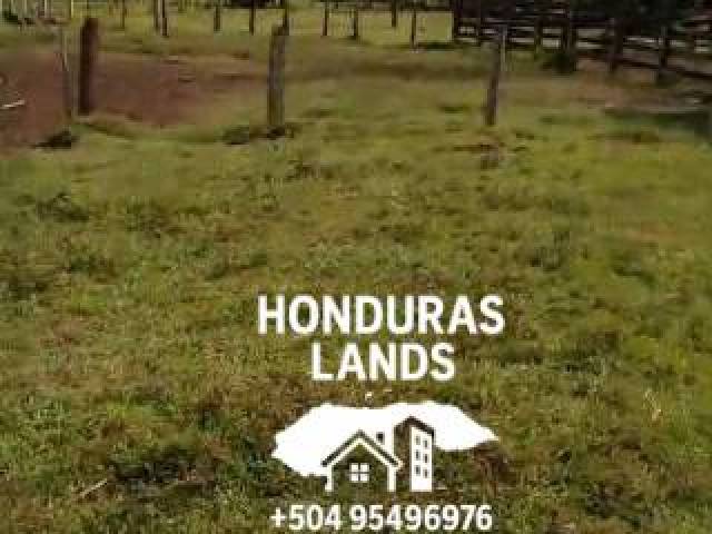 #70 - Área para Venta en San Pedro Sula - Cortés