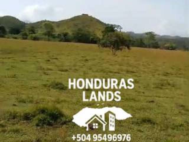 #70 - Área para Venta en San Pedro Sula - Cortés