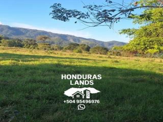 #102 - Área para Venta en San Pedro Sula - Cortés