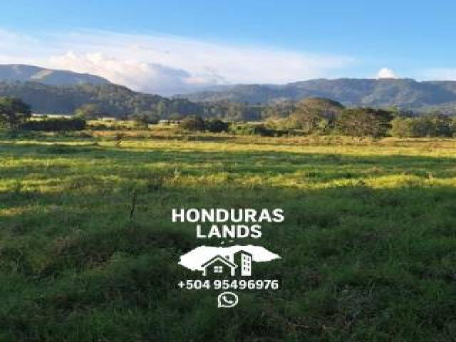 #102 - Área para Venta en San Pedro Sula - Cortés